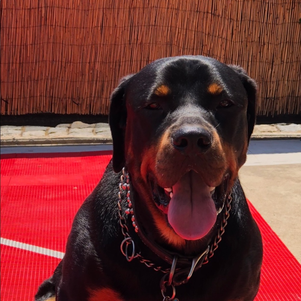 Meet your Posher, Michael